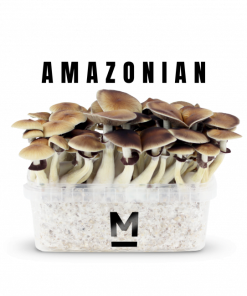 Magic Mushroom Grow Kit PES Amazon by Mondo®
