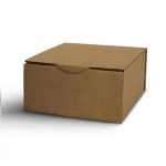 golden-teacher-mondo-magic-mushroom-kit-box-xl_10