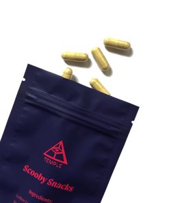 Temple Scooby Snacks Mushroom